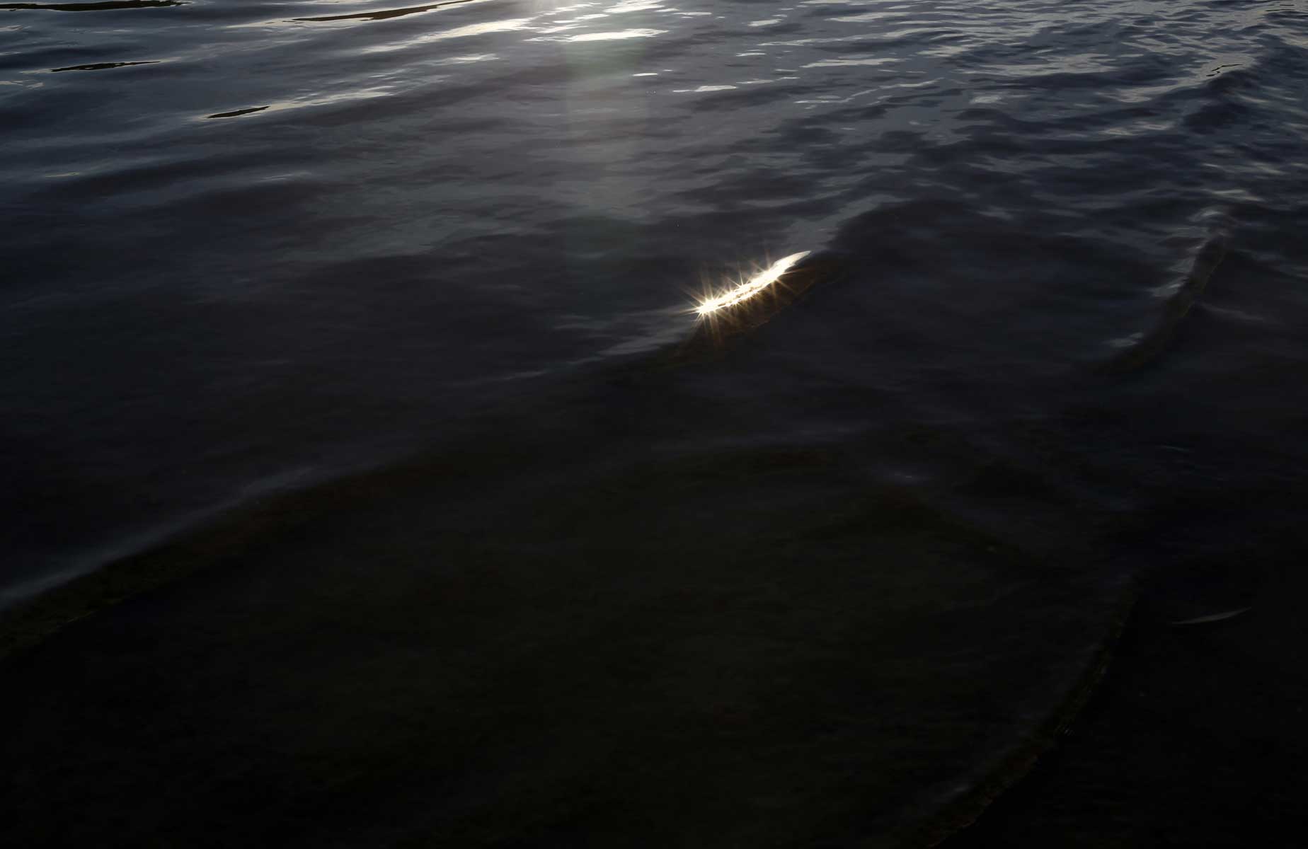 viriya-chotpanyavisut